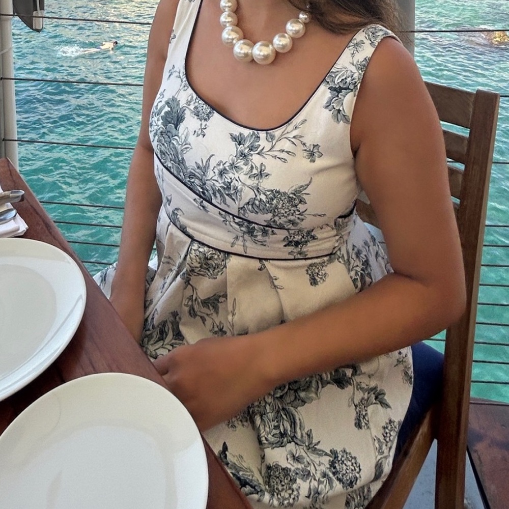 Toile De Jouy Navy White Mini Dress